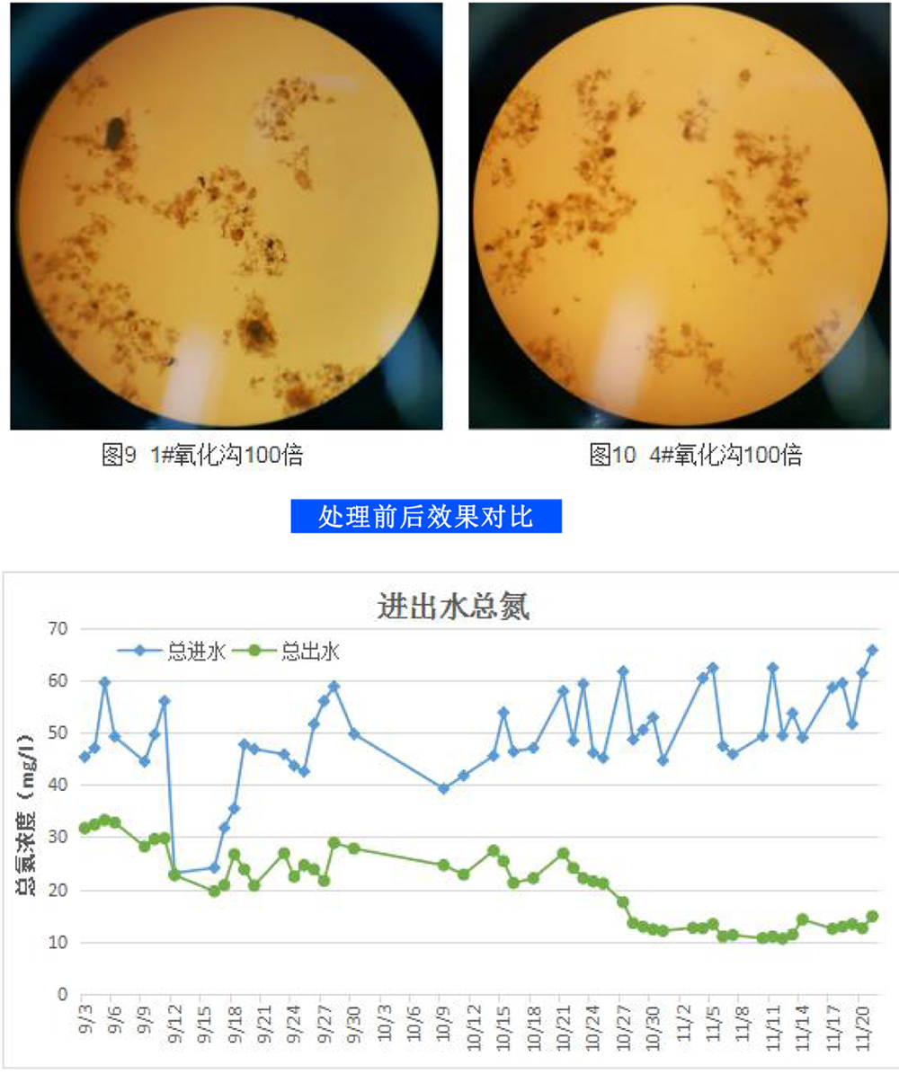 菲恩科技微生物菌剂，低温脱氮“特种部队”(1)-6.jpg